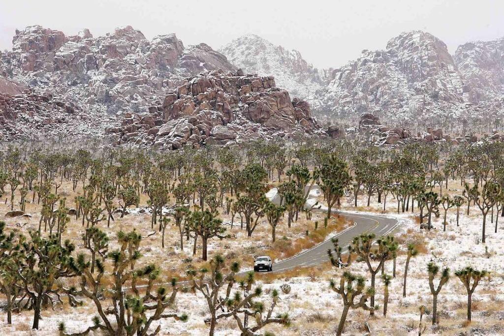 Photo of Others in Joshua Tree Highlands