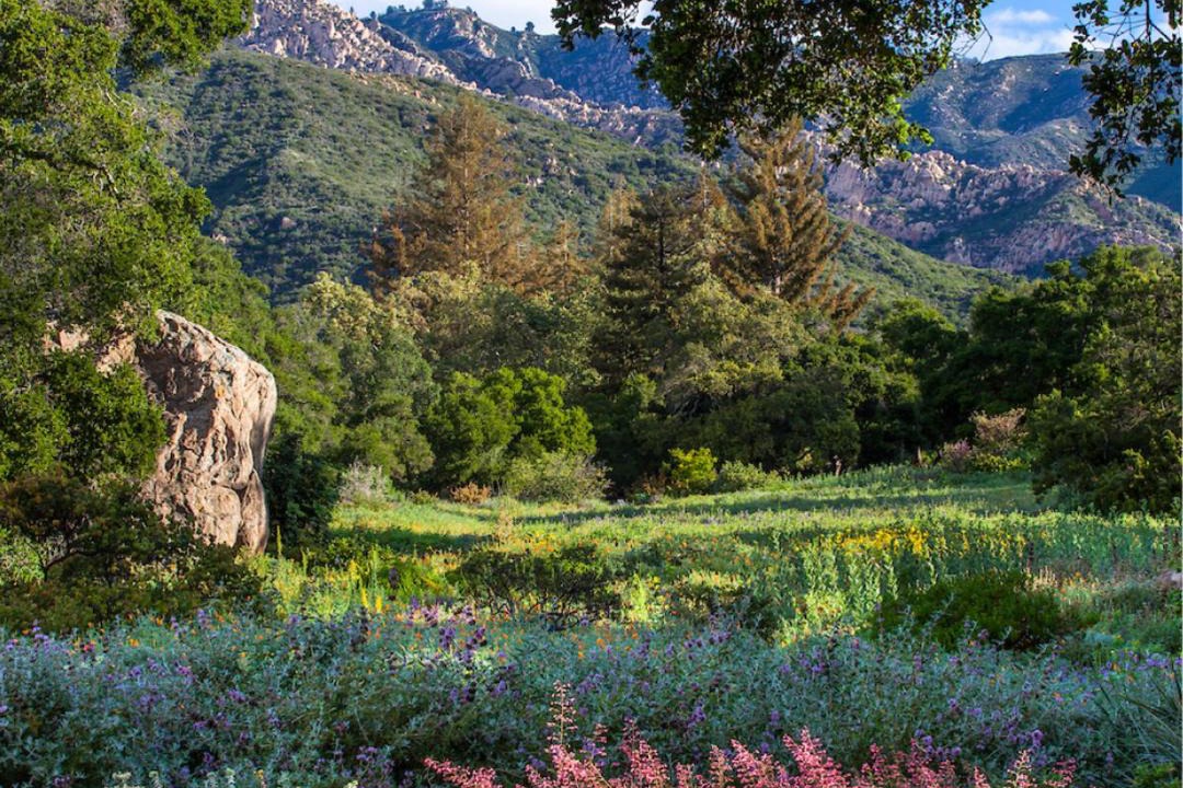 Photo of Others in Mission Canyon