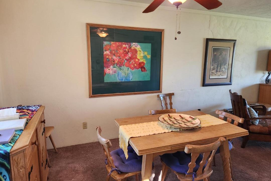 Photo of Livingroom in Borrego Springs