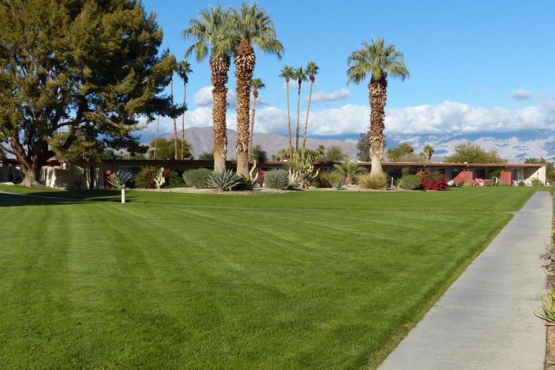 Photo of Others in Borrego Springs