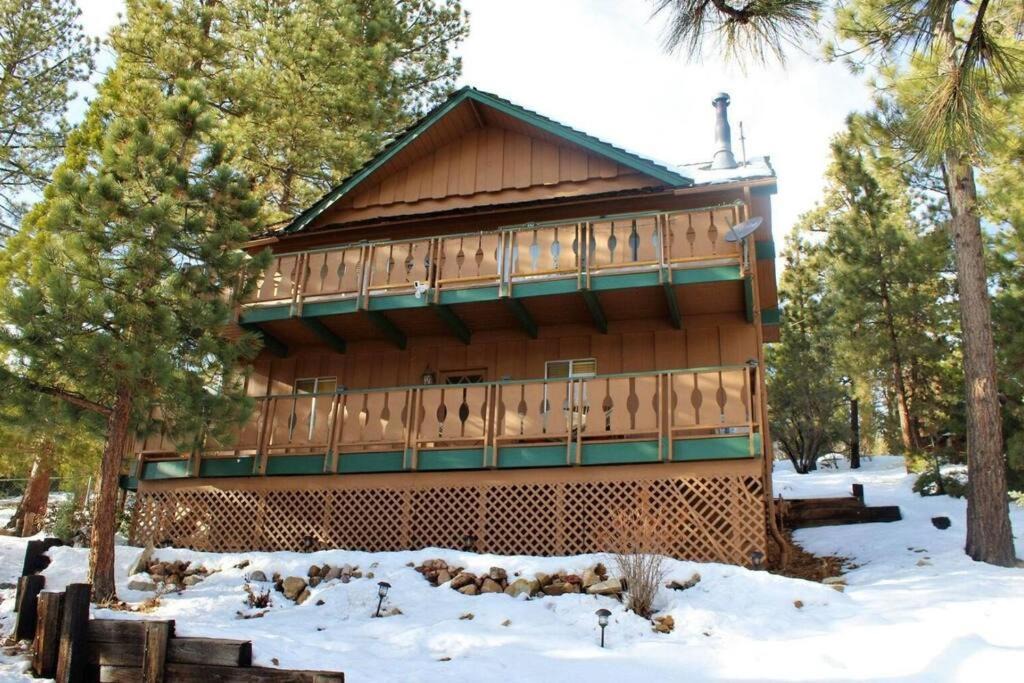 Photo of Buildings in Whispering Forest