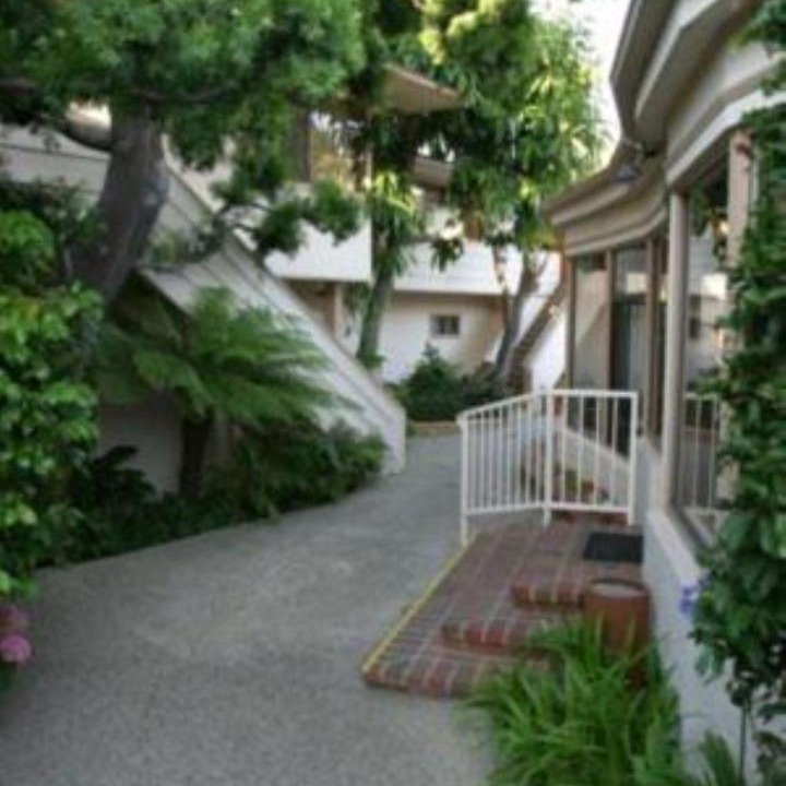 Photo of Others in Laguna Beach