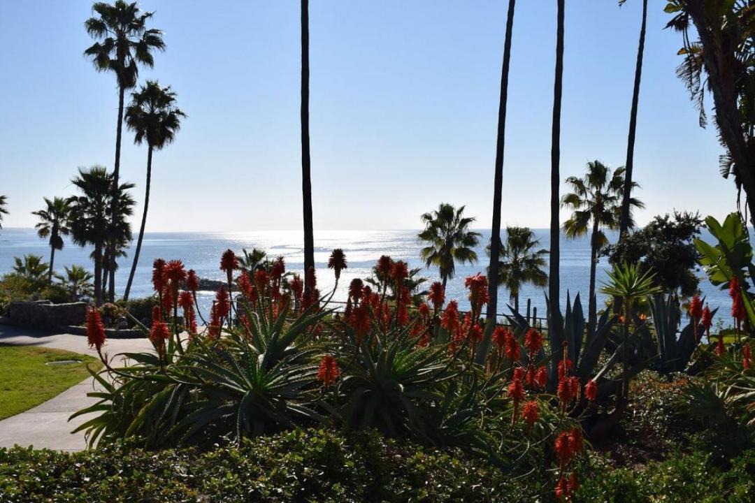 Photo of Others in Laguna Beach