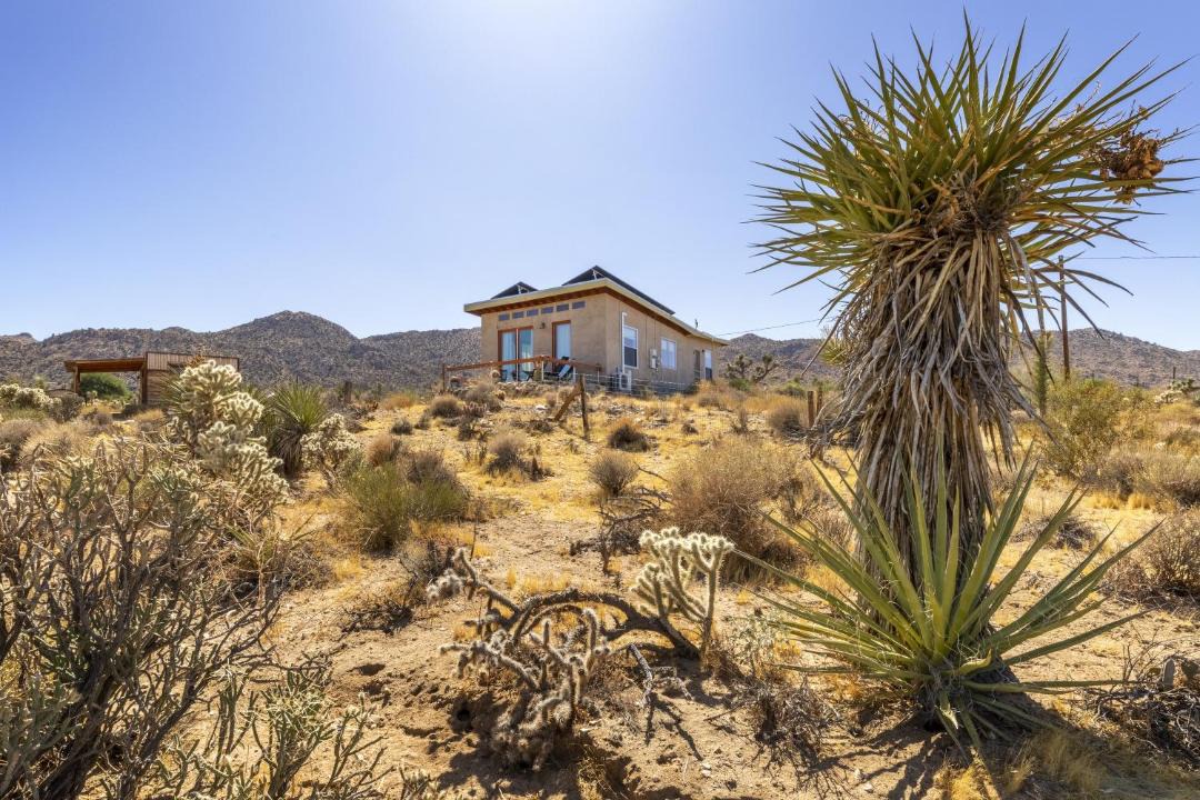 Photo of Others in Joshua Tree Highlands