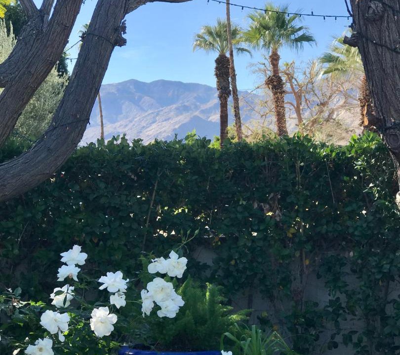 Photo of Outdoor in Palm Springs