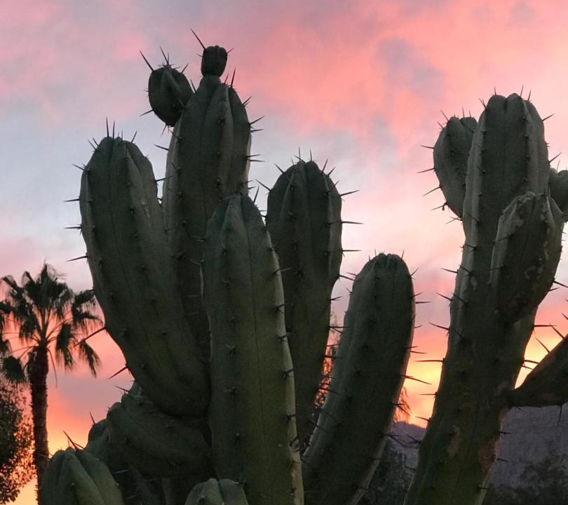 Photo of Others in Palm Springs