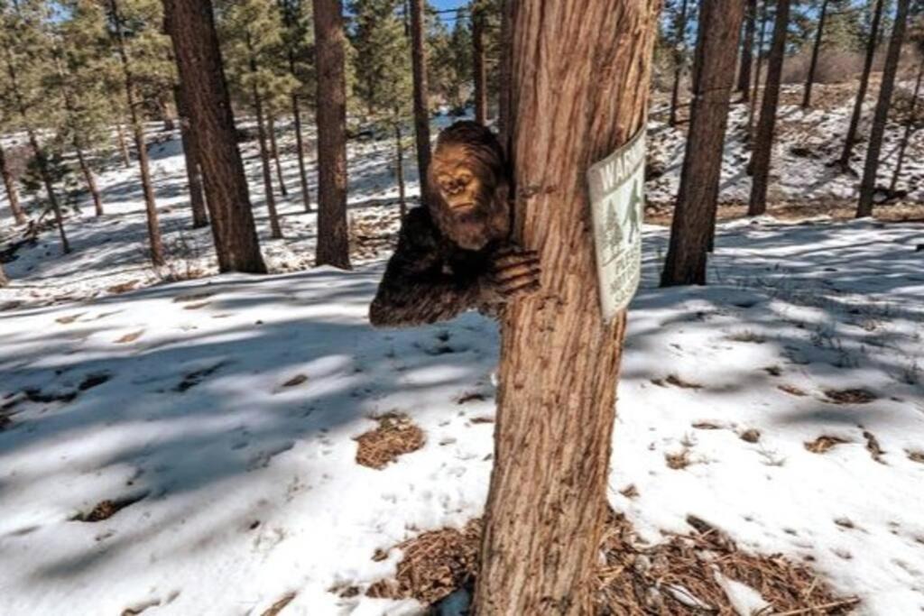 Photo of Others in Meadowbrook Estates