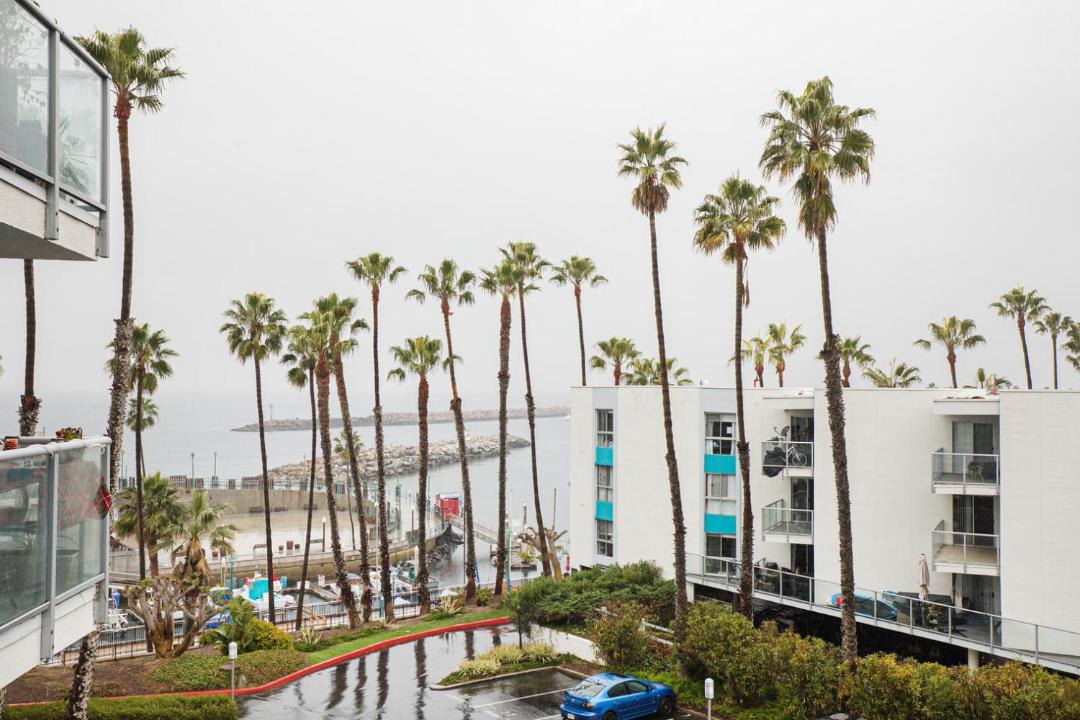 Photo of Others in South Redondo