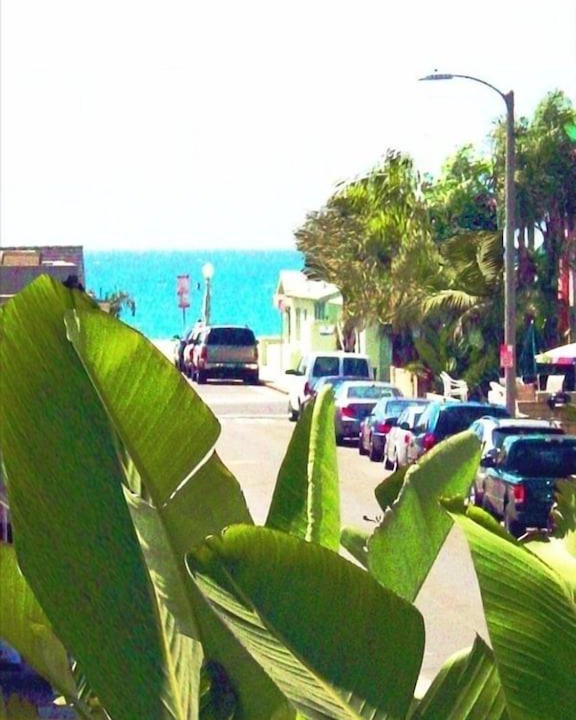 Photo of Others in West Newport
