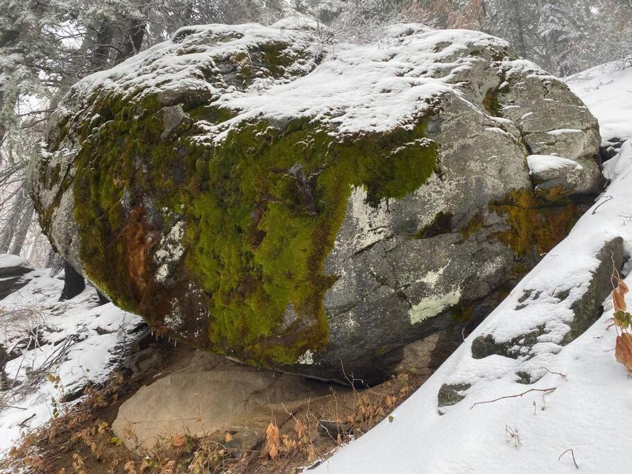 Photo of Others in Springville