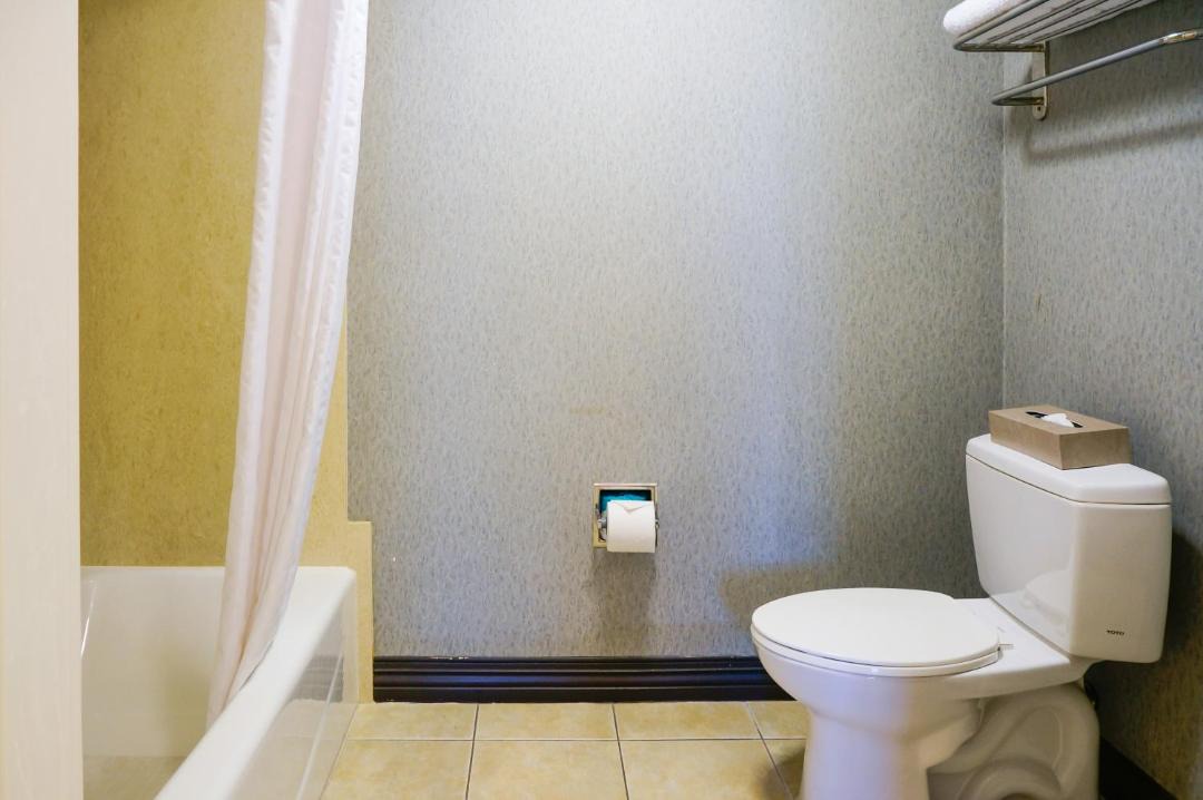 Photo of Bathroom in Tree Section