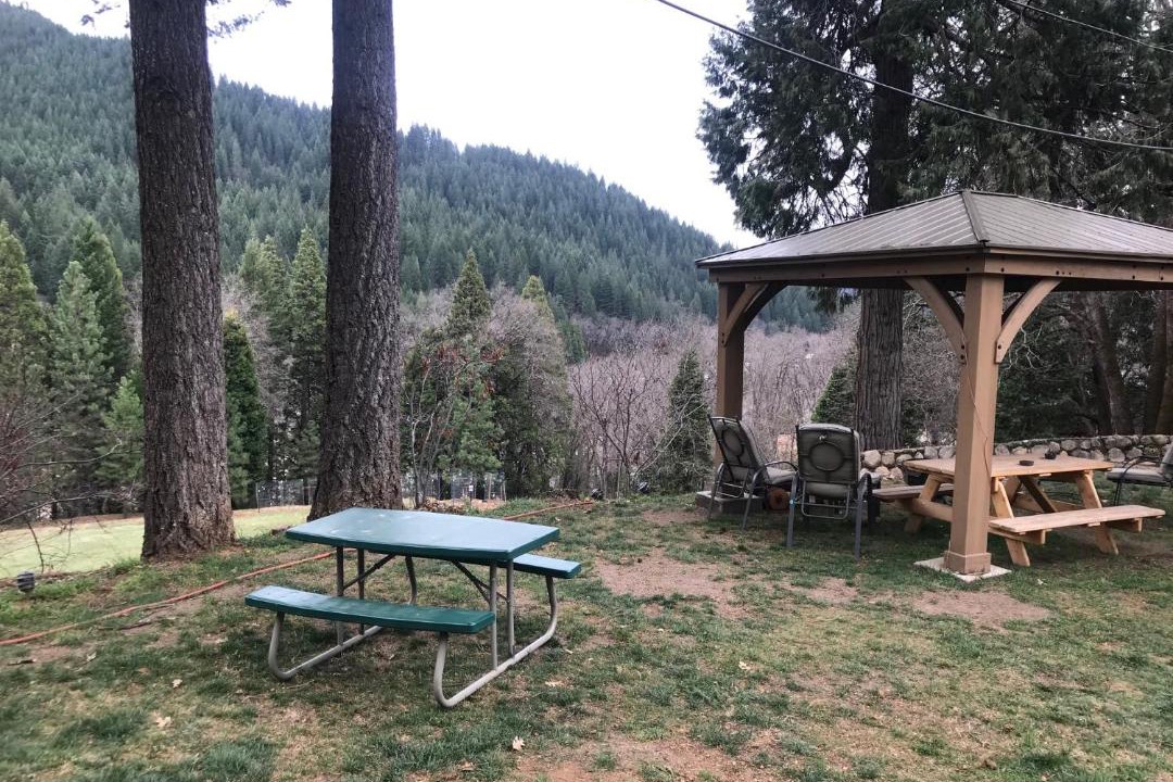 Photo of Others in Dunsmuir