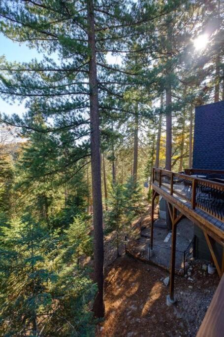 Photo of Others in Lake Arrowhead