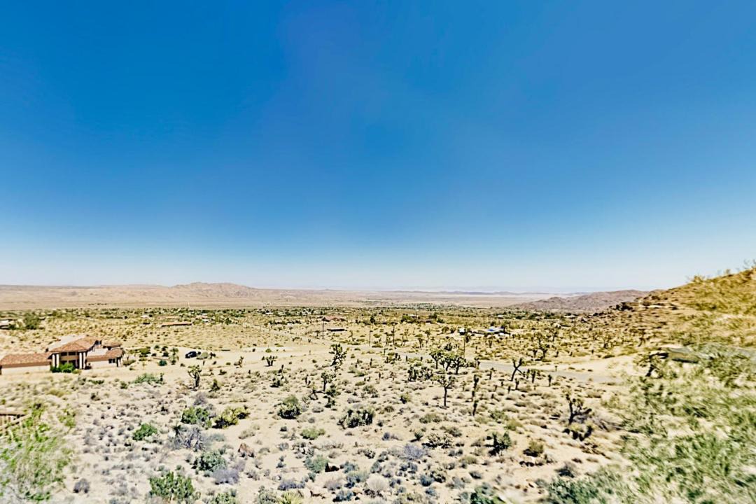Photo of Others in Joshua Tree