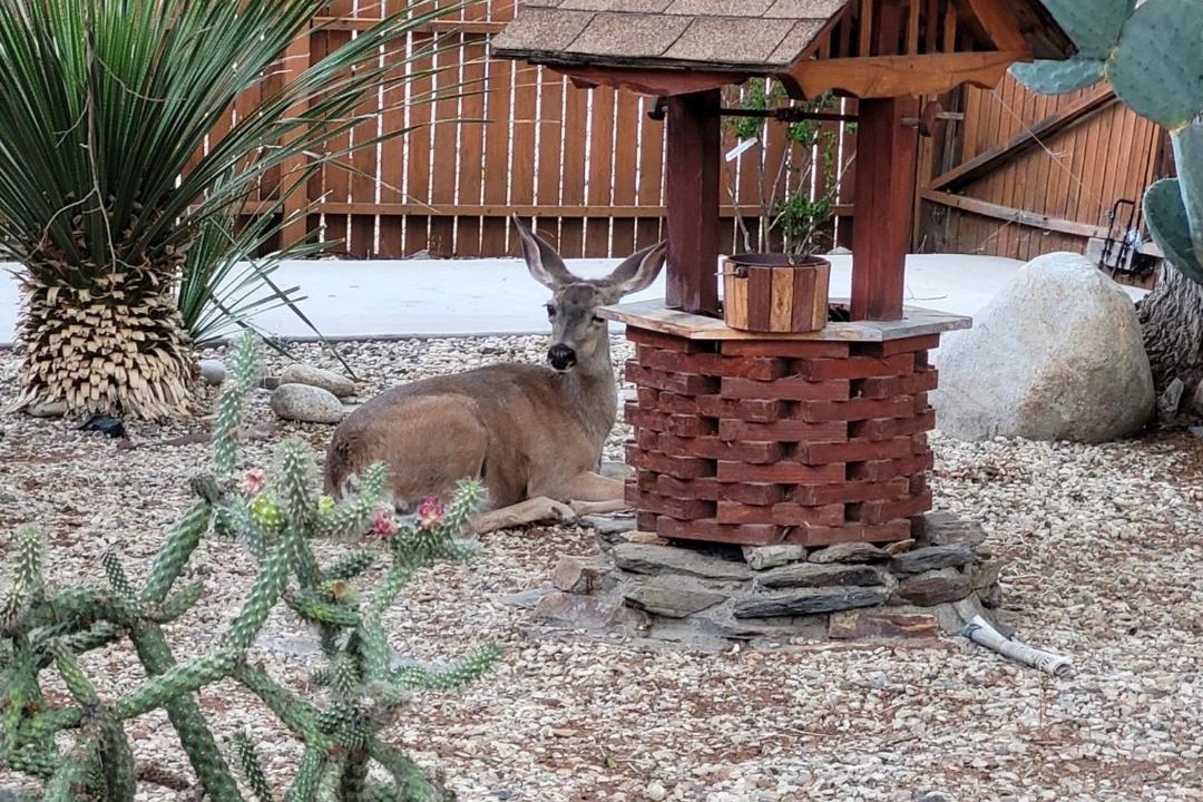 Photo of Others in Kernville