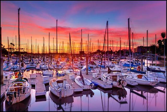 Photo of Others in Marina del Rey