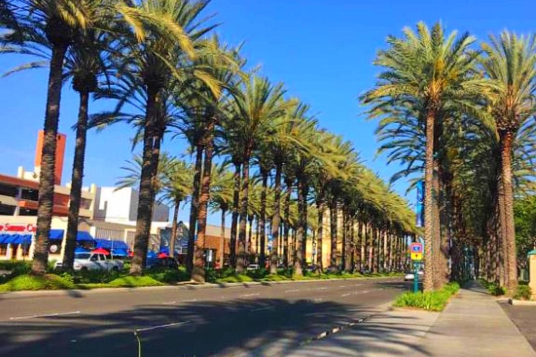 Photo of Others in Anaheim Resort