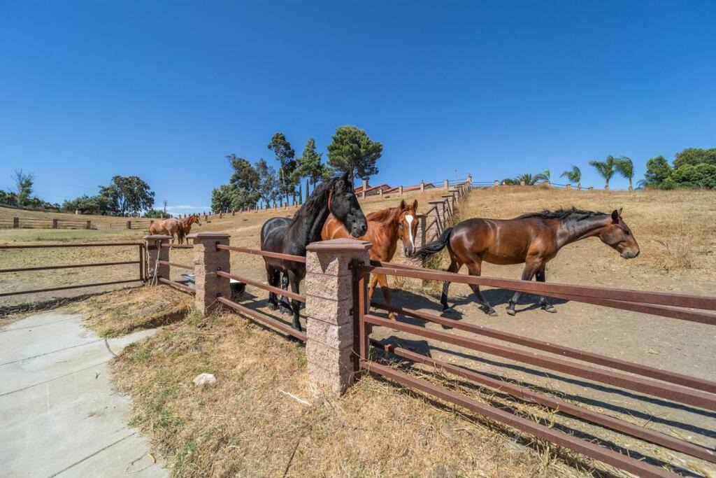 Photo of Others in Temecula
