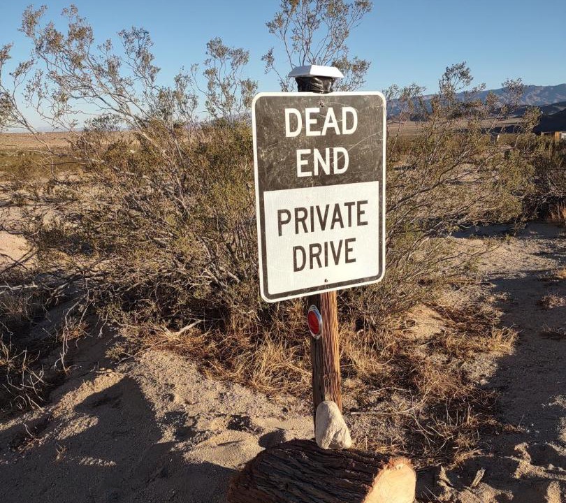 Photo of Others in Joshua Tree