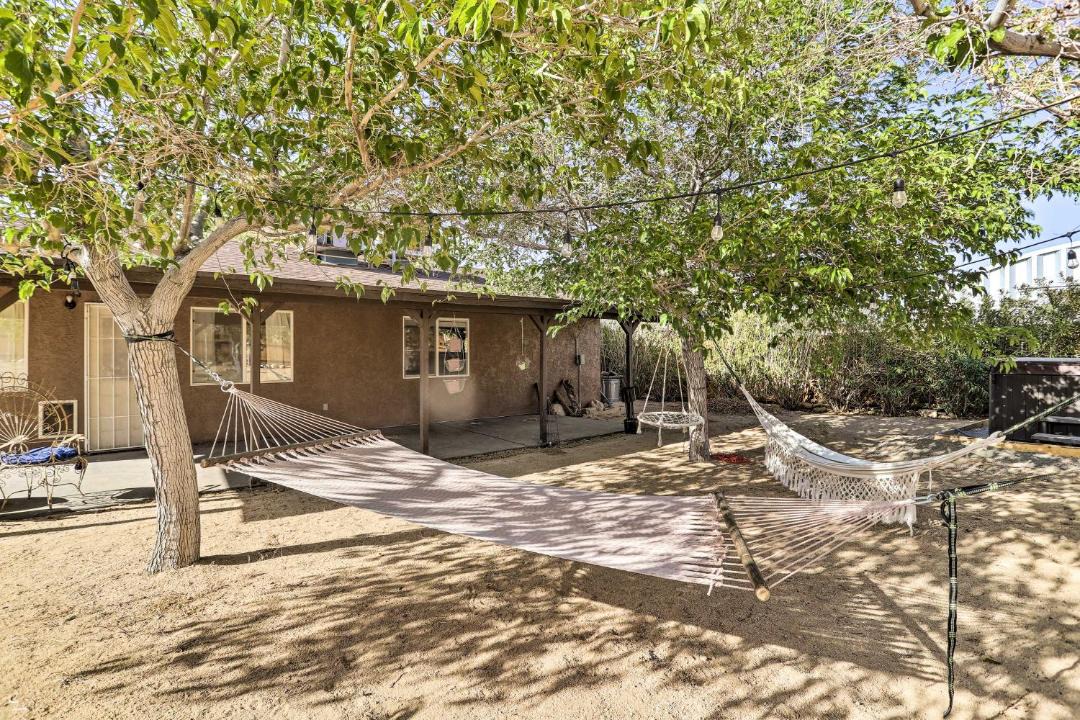 Photo of Others in Joshua Tree
