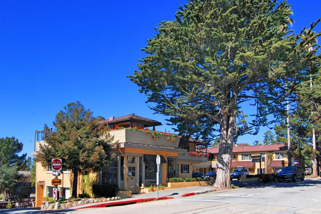 Photo of Others in Northwest Carmel