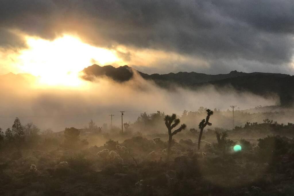 Photo of Others in Joshua Tree Highlands