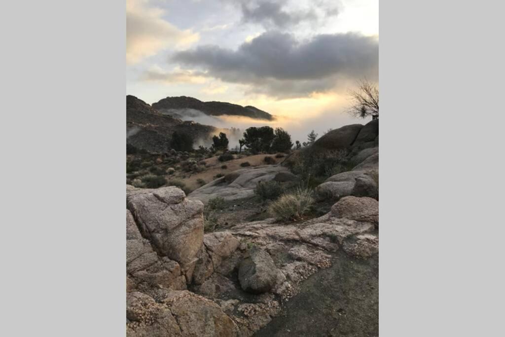 Photo of Others in Joshua Tree Highlands