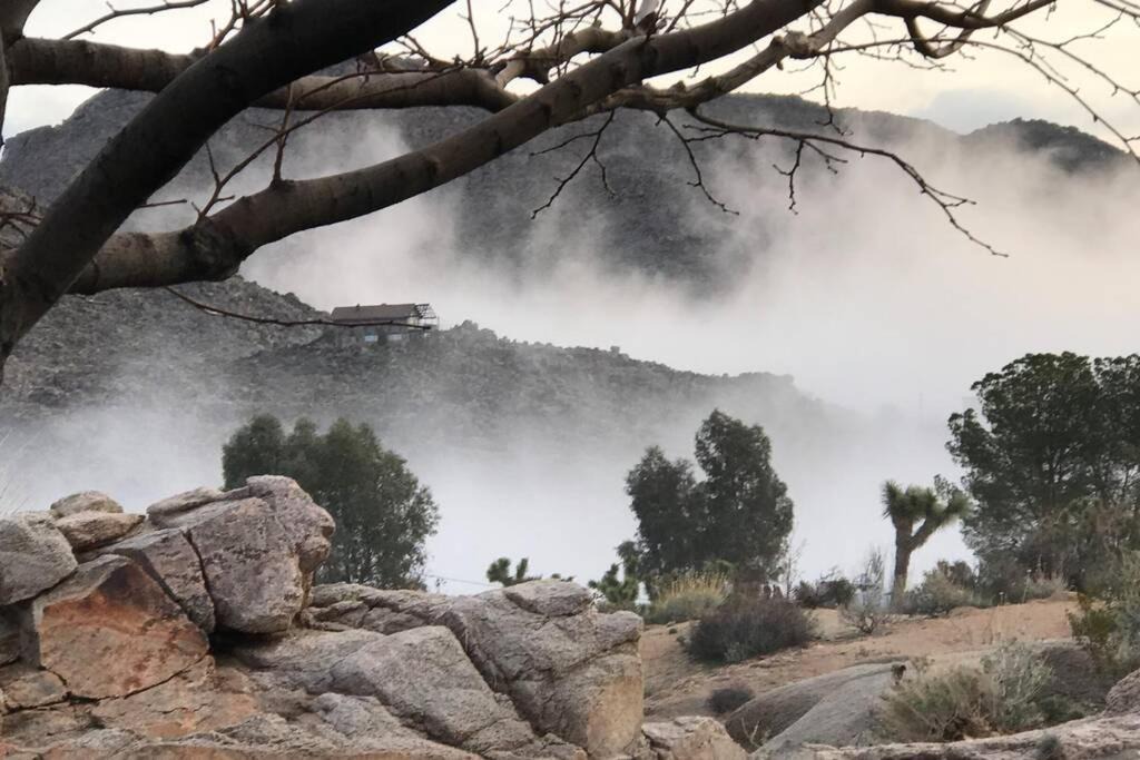 Photo of Others in Joshua Tree Highlands
