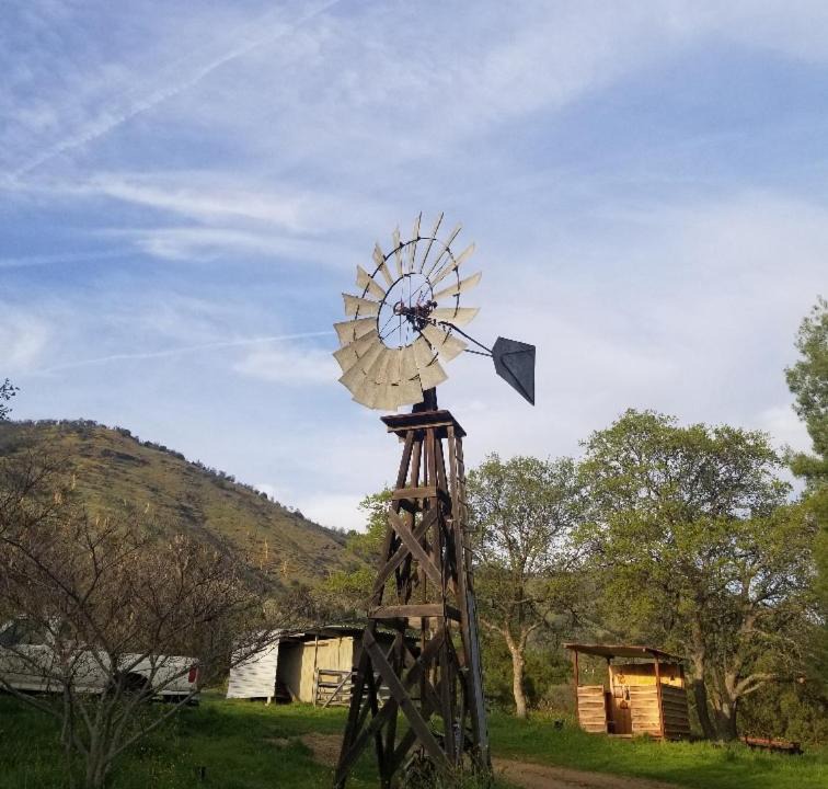 Photo of Others in Squaw Valley