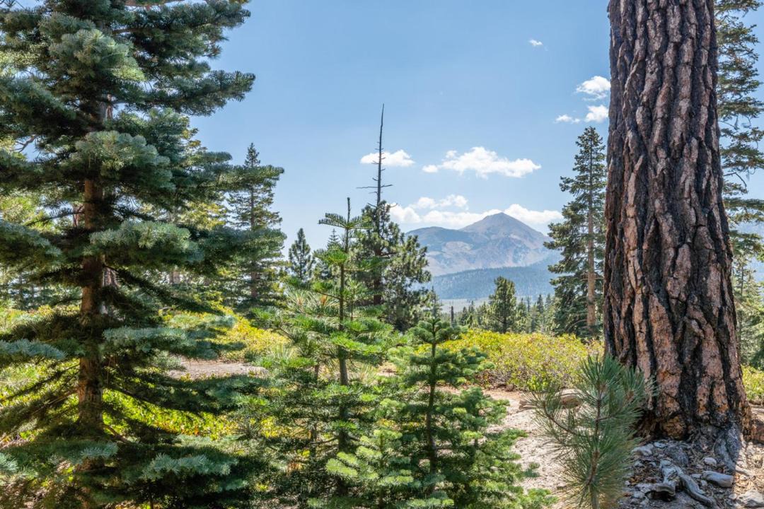 Photo of Others in Mammoth Lakes