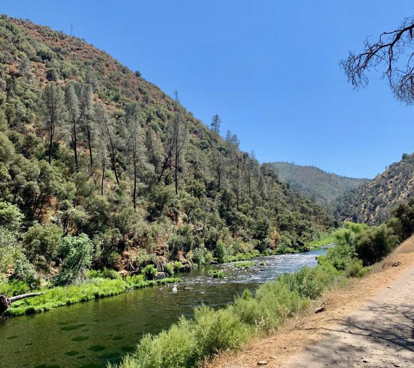 Photo of Others in Mariposa