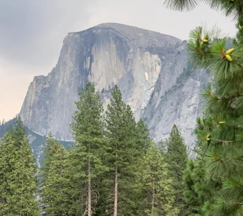 Photo of Others in Mariposa
