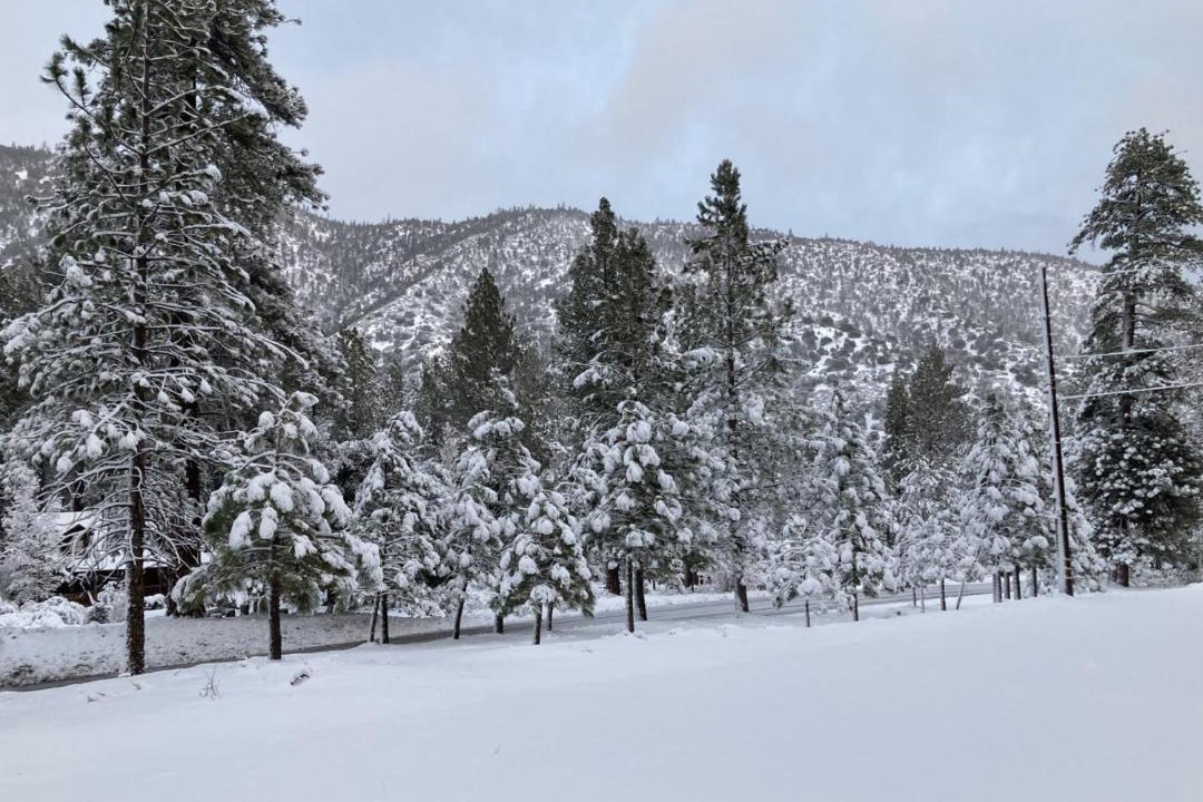 Photo of Others in Pine Mountain Club