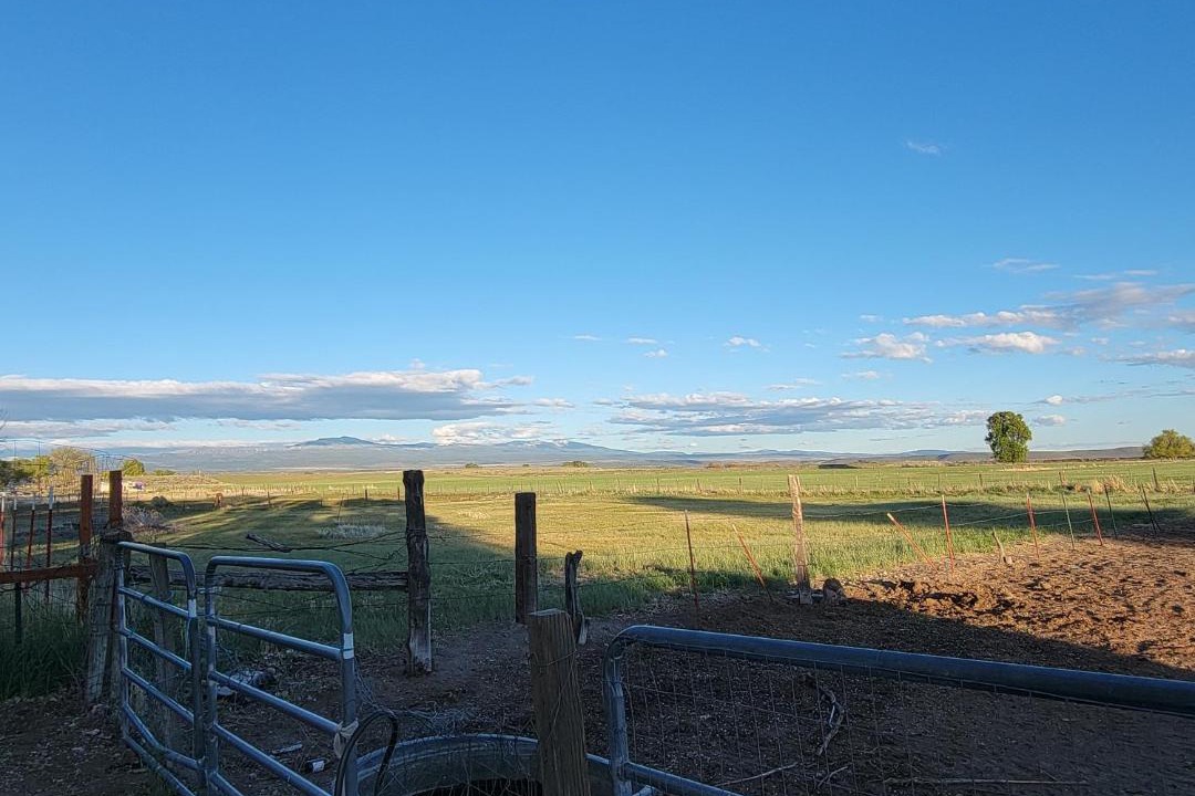 Photo of Others in Alturas
