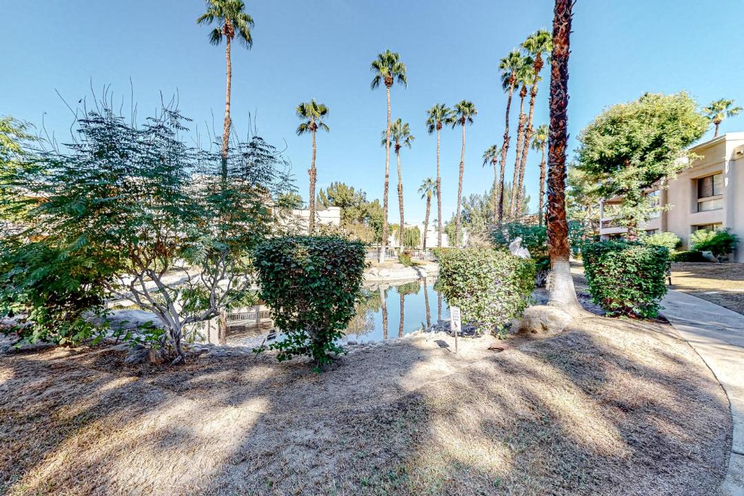 Photo of Others in Cathedral City