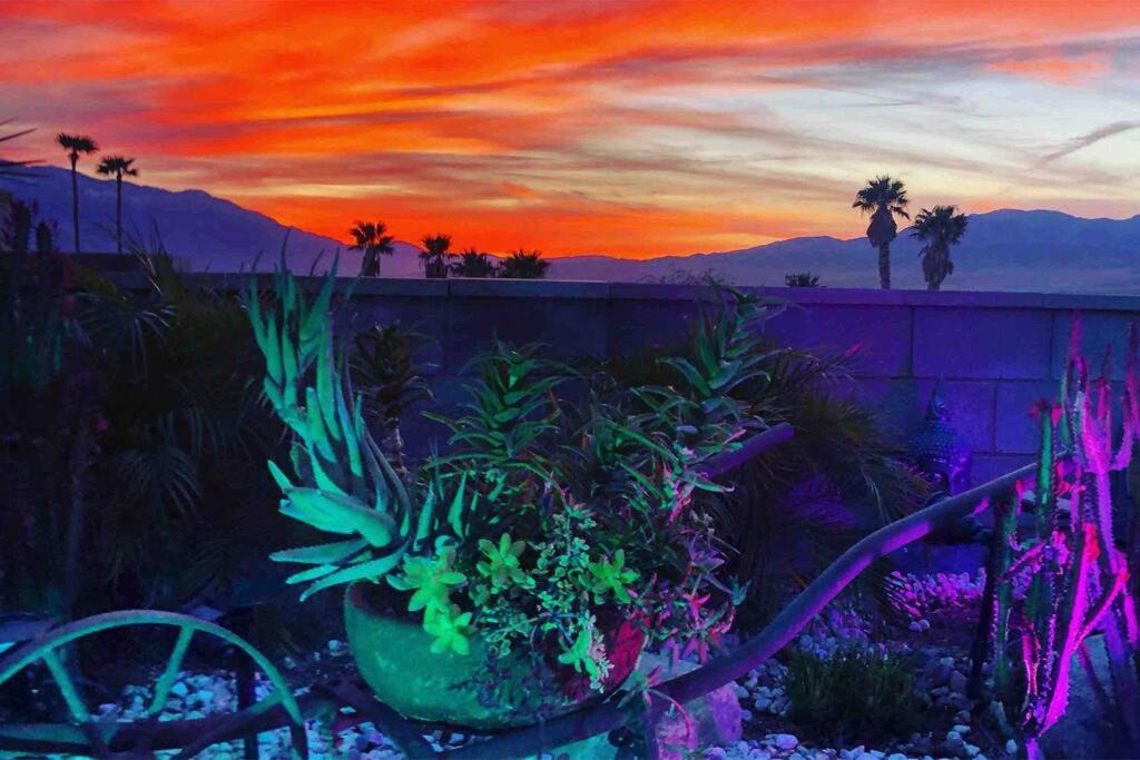 Photo of Others in Desert Hot Springs