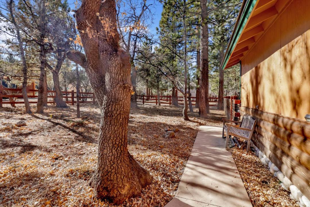 Photo of Others in Upper Moonridge