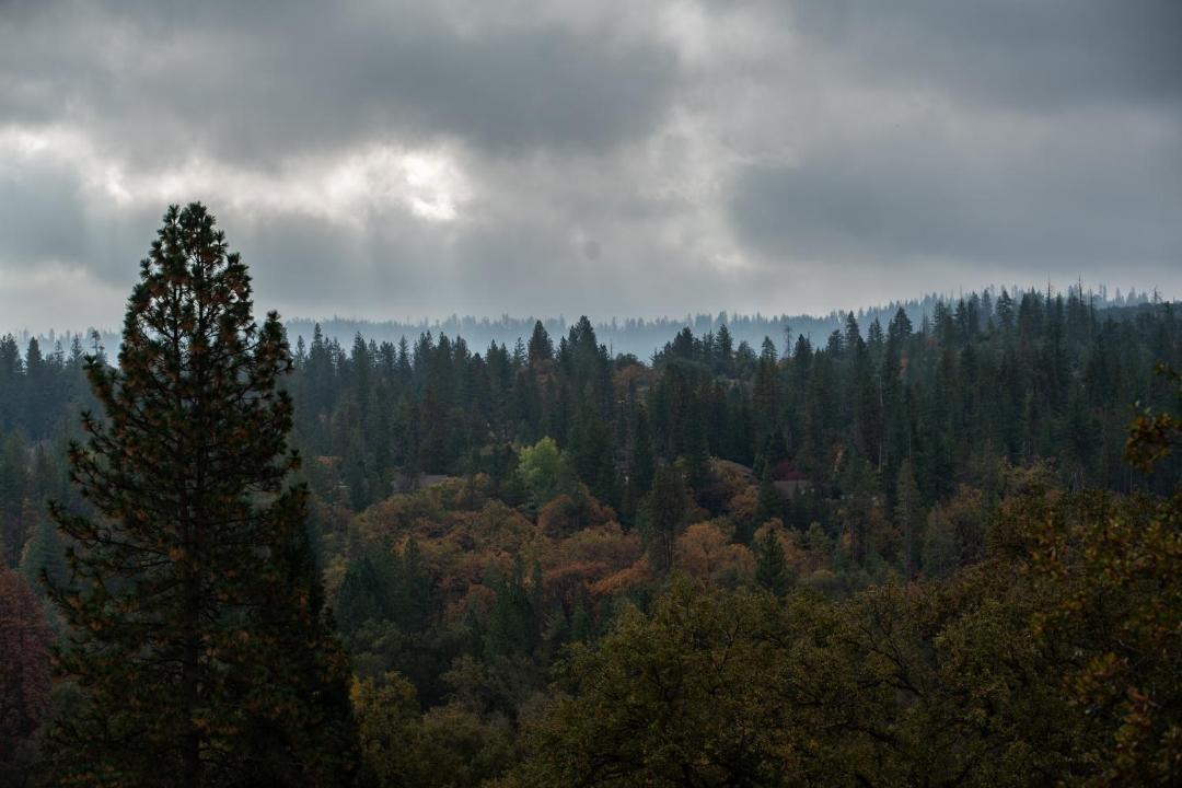 Photo of Others in Groveland