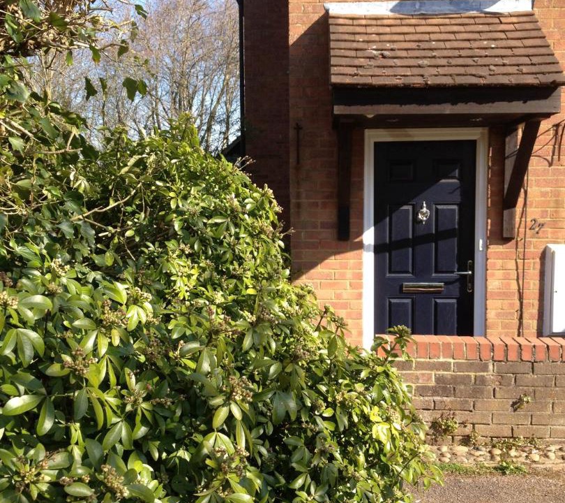 Photo of Buildings in St Albans
