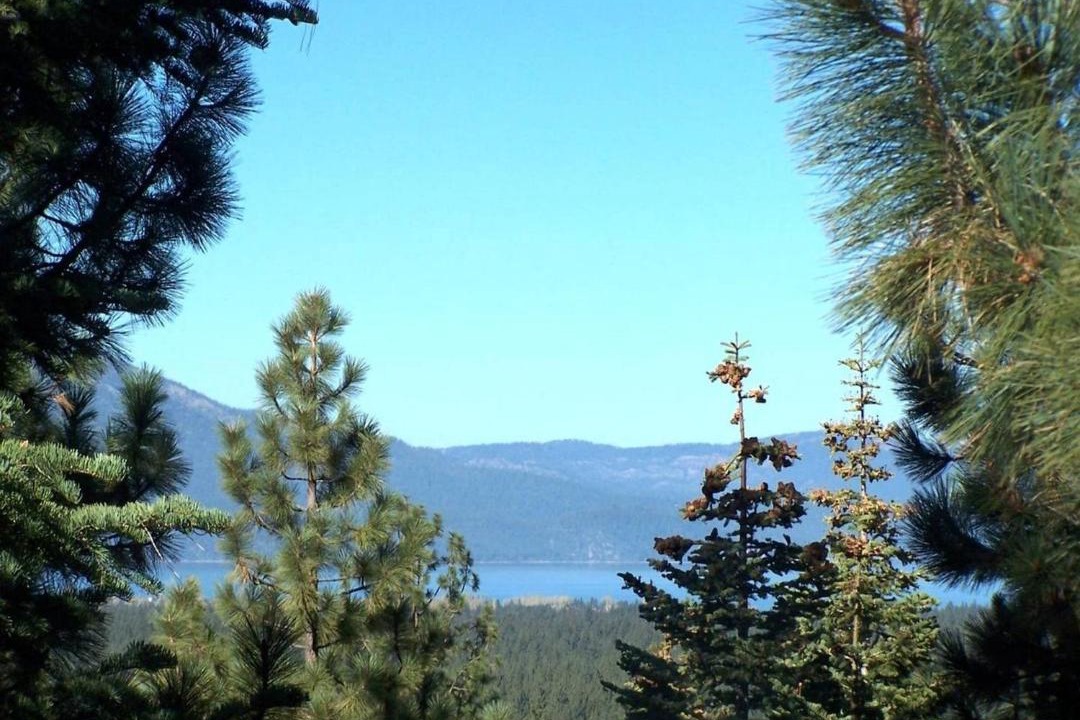 Photo of Outdoor in Montgomery Estates