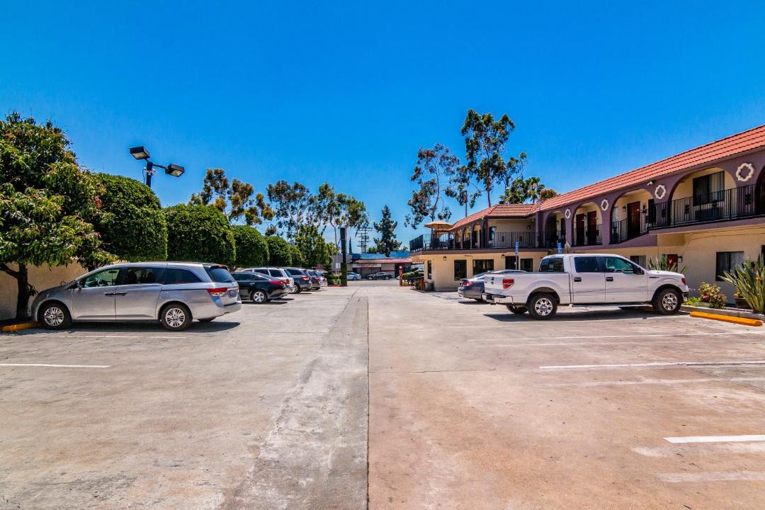 Photo of Others in Citrus Grove