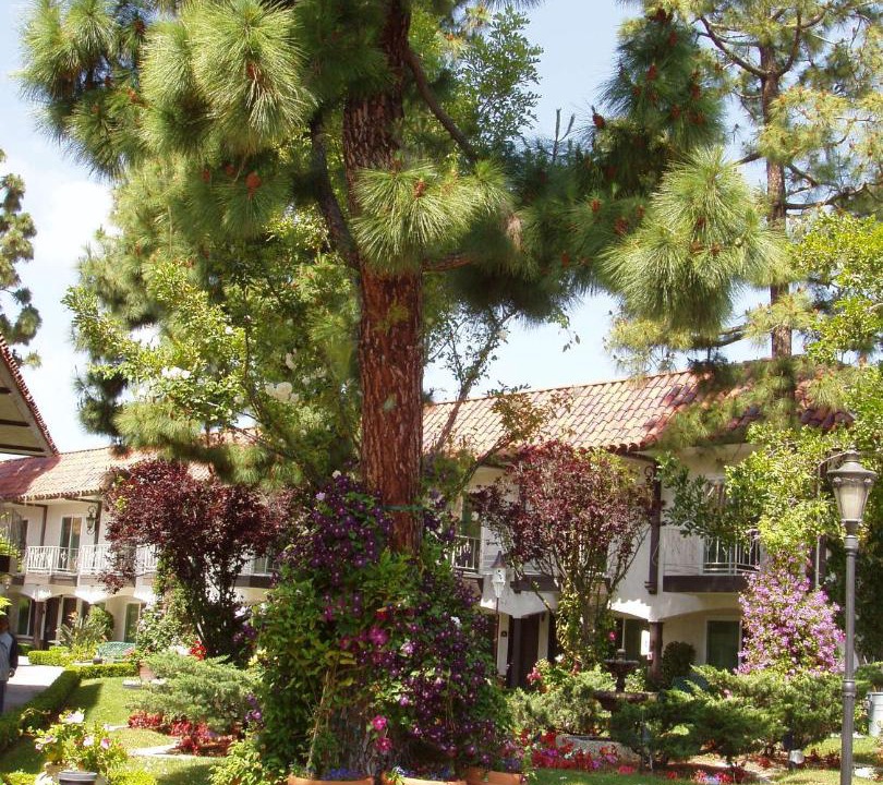 Photo of Others in Laguna Hills