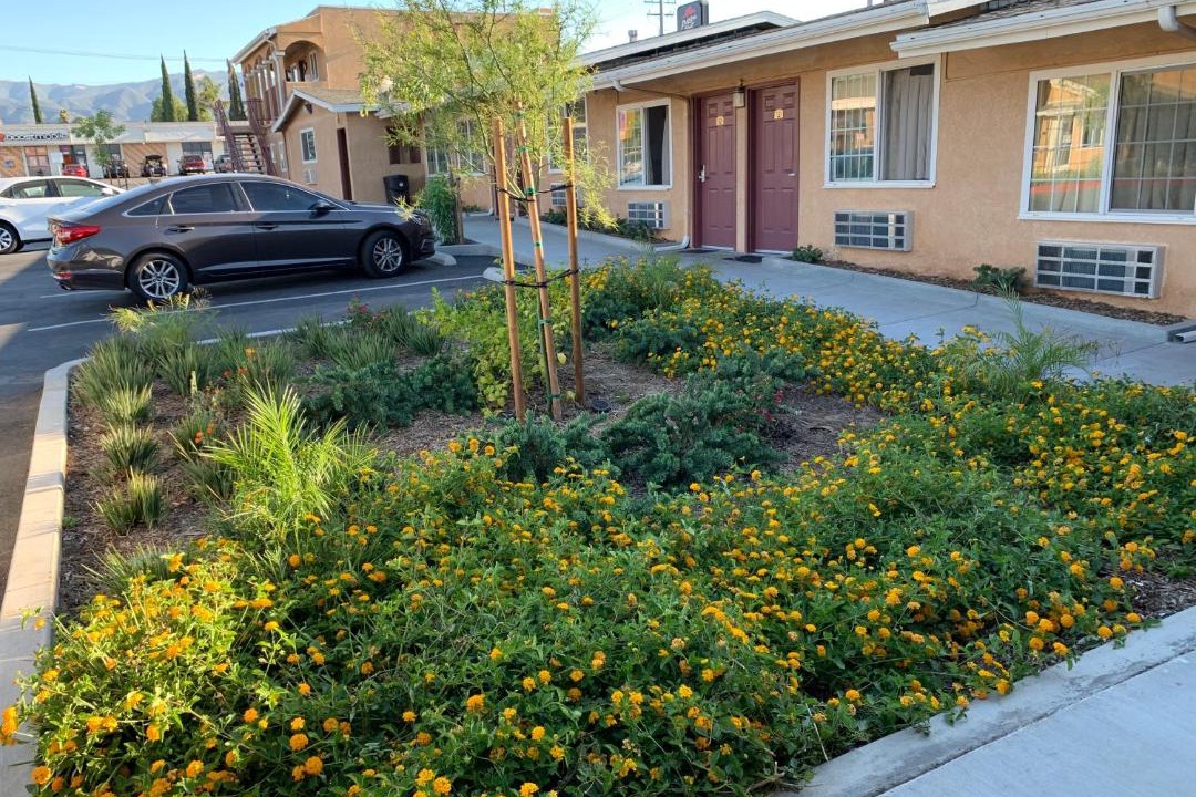 Photo of Others in Corona