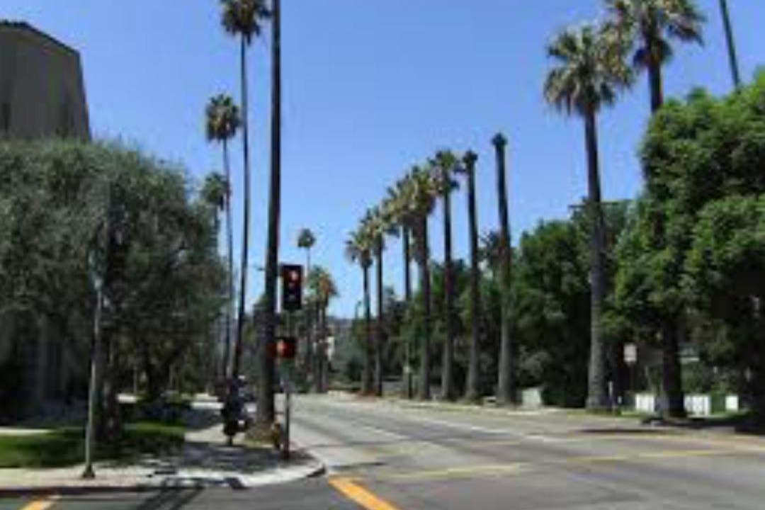 Photo of Outdoor in Hollywood Dell