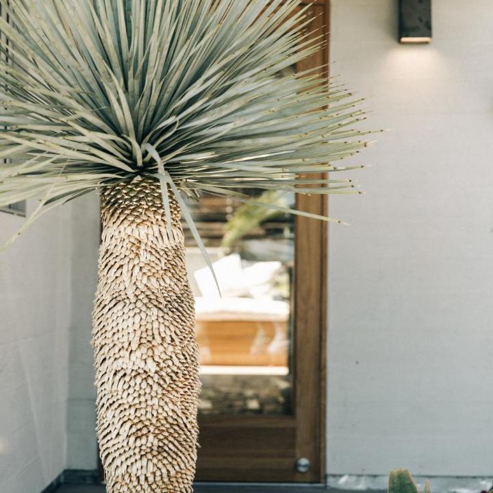Photo of Others in Eastern Malibu