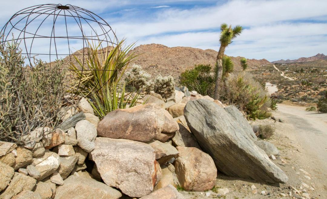 Photo of Others in Joshua Tree Highlands