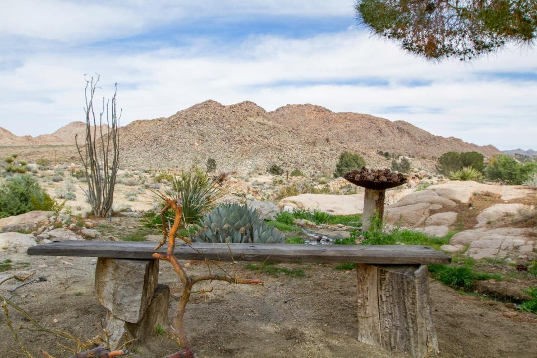 Photo of Others in Joshua Tree Highlands