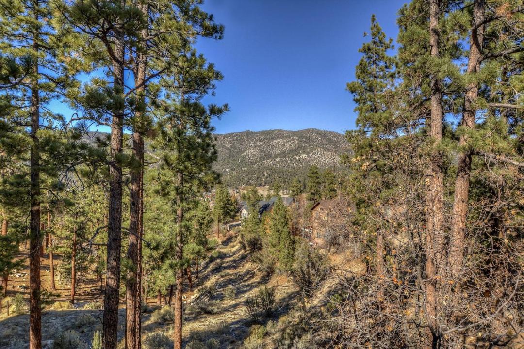 Photo of Outdoor in Castle Glen Estates