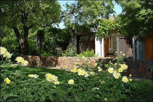 Photo of Others in Yountville