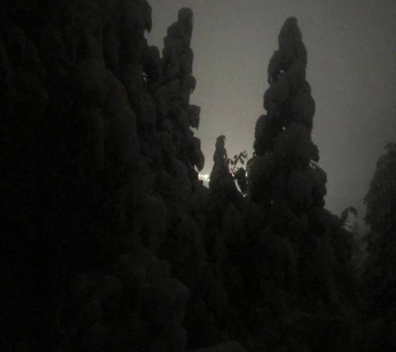 Photo of Others in Crestline